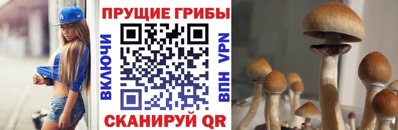 Галлюциногенные грибы прущие грибы  Сельцо 